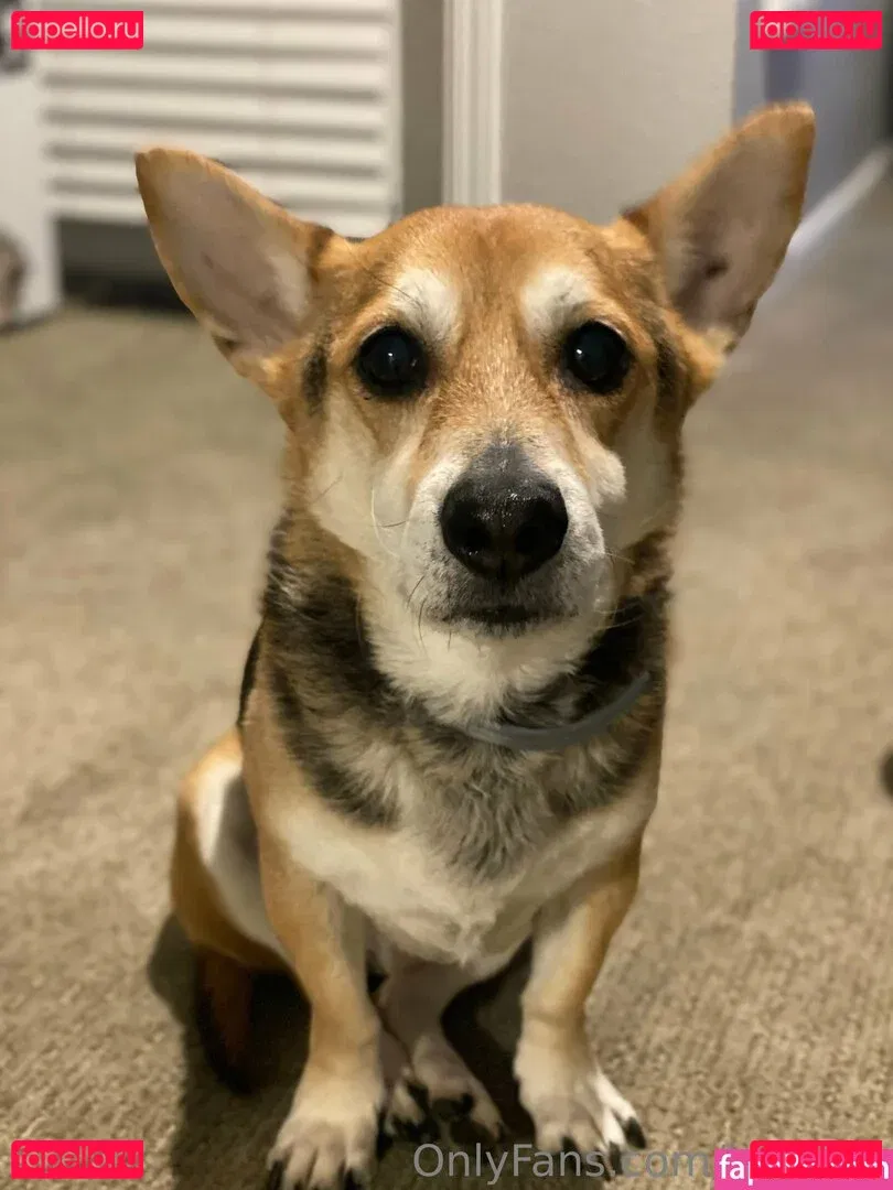 karlibra Onlyfans Photo Gallery 