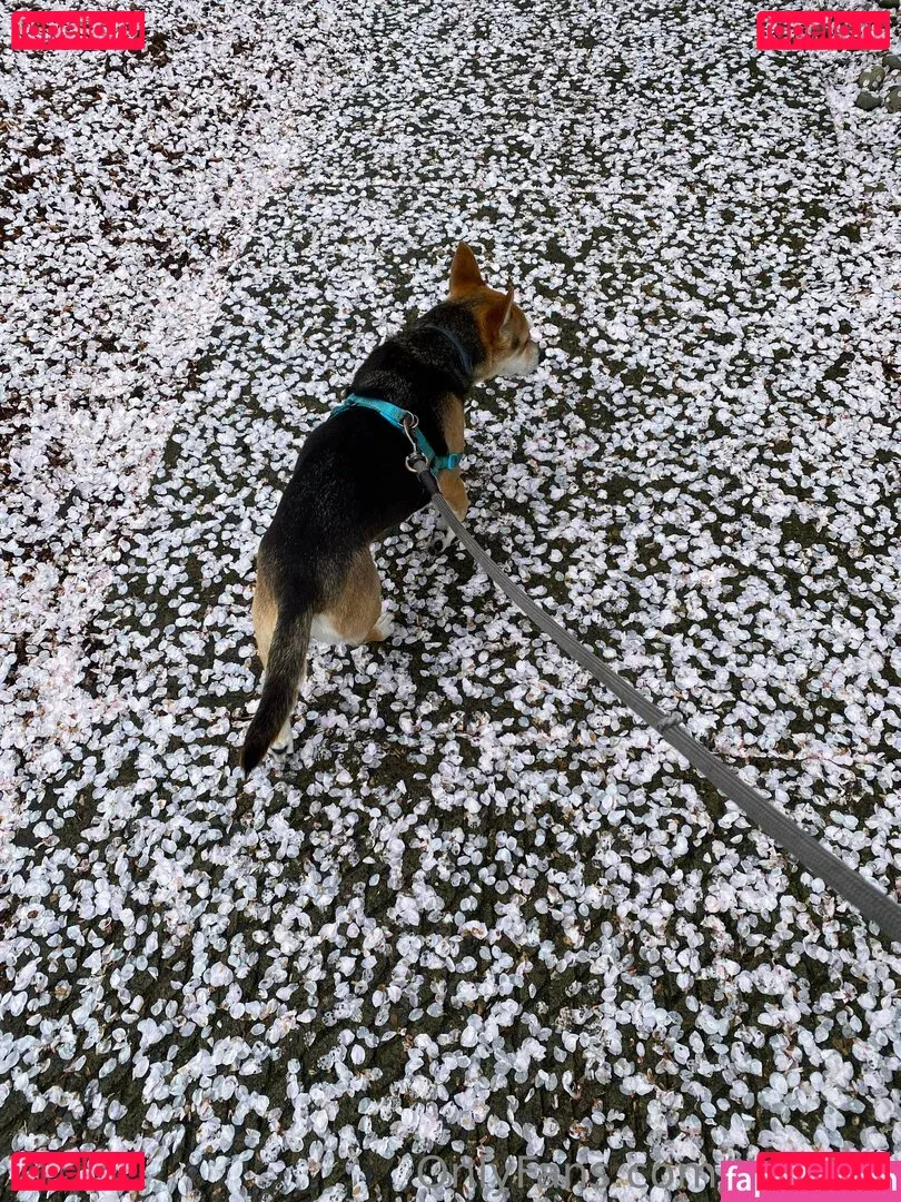 karlibra Onlyfans Photo Gallery 