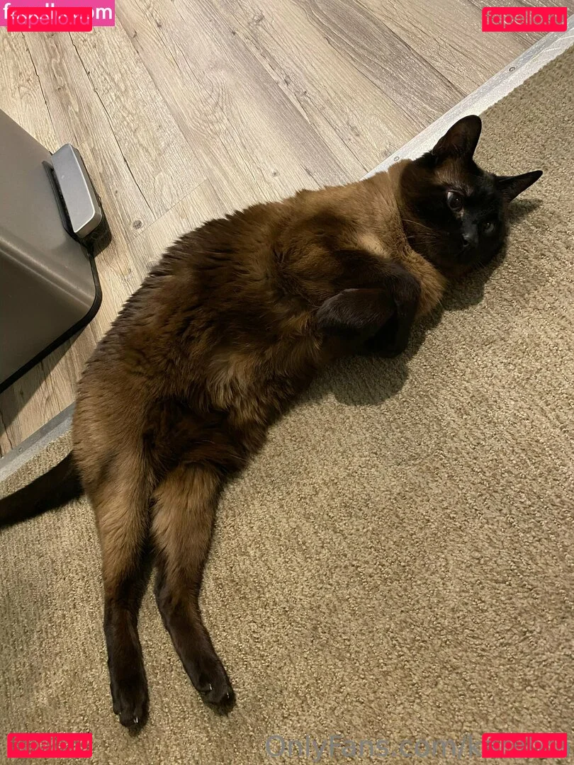 karlibra Onlyfans Photo Gallery 