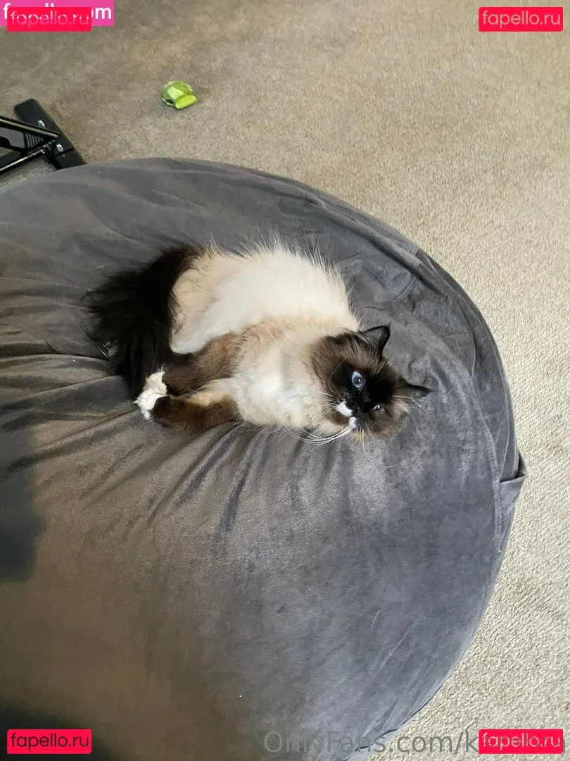 karlibra Onlyfans Photo Gallery 