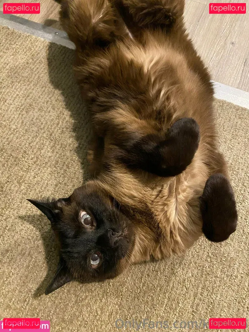 karlibra Onlyfans Photo Gallery 