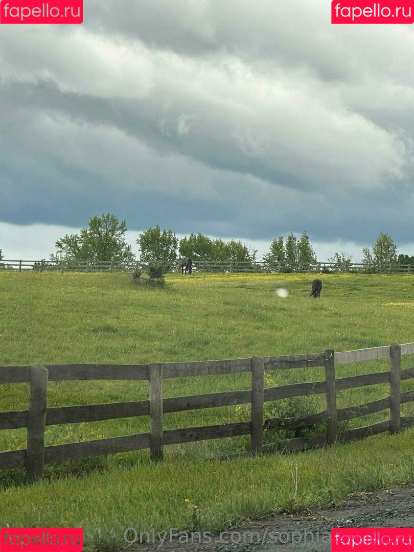 Sophialeonexo Onlyfans Photo Gallery 