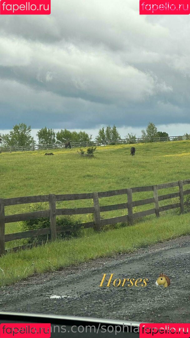 Sophialeonexo Onlyfans Photo Gallery 