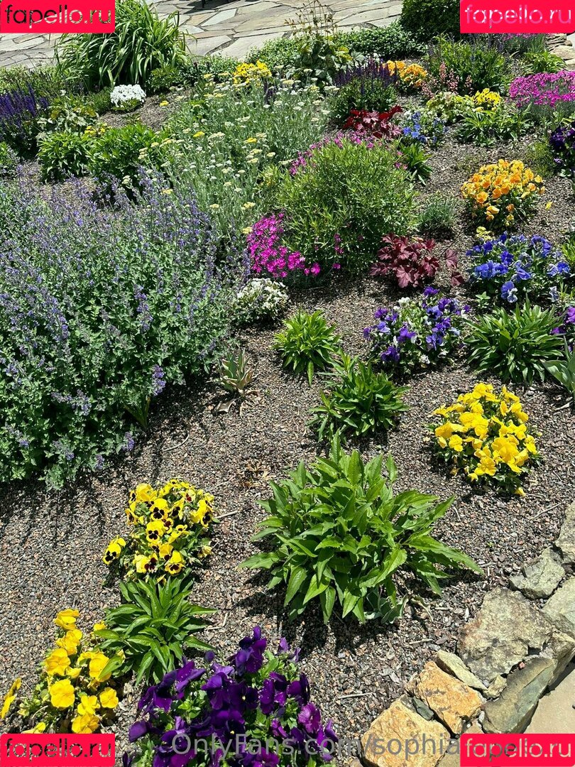 Sophialeonexo Onlyfans Photo Gallery 