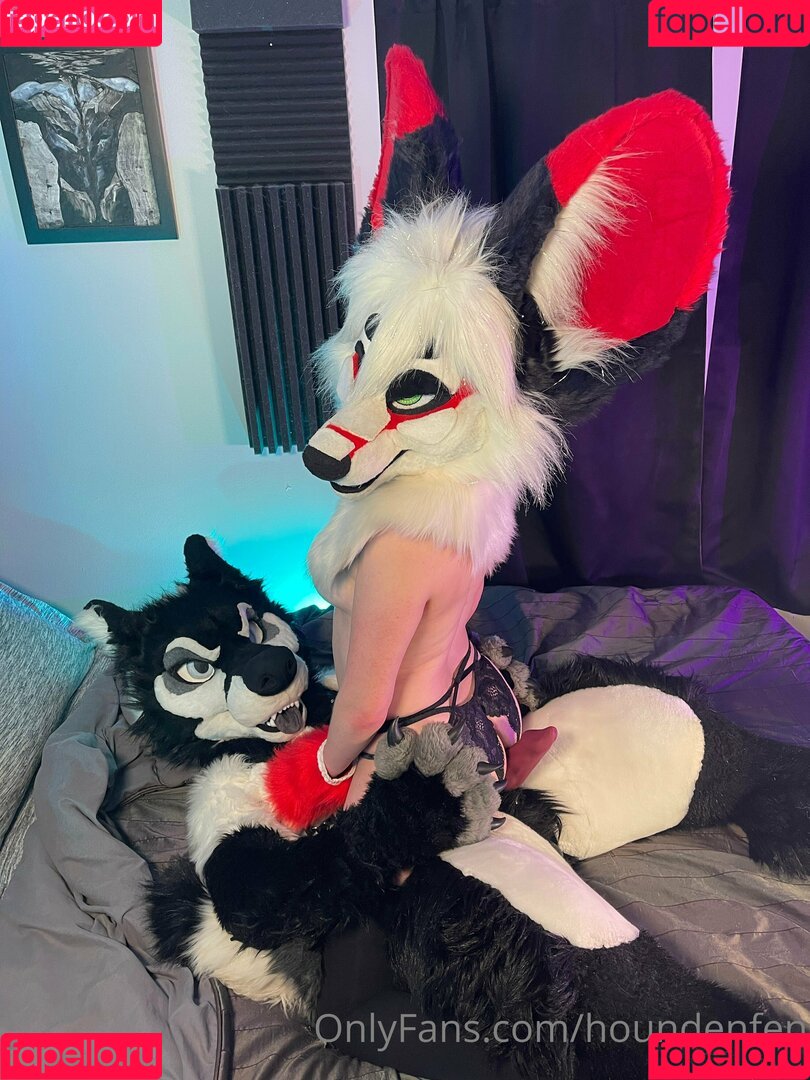 houndenfen Onlyfans Photo Gallery 