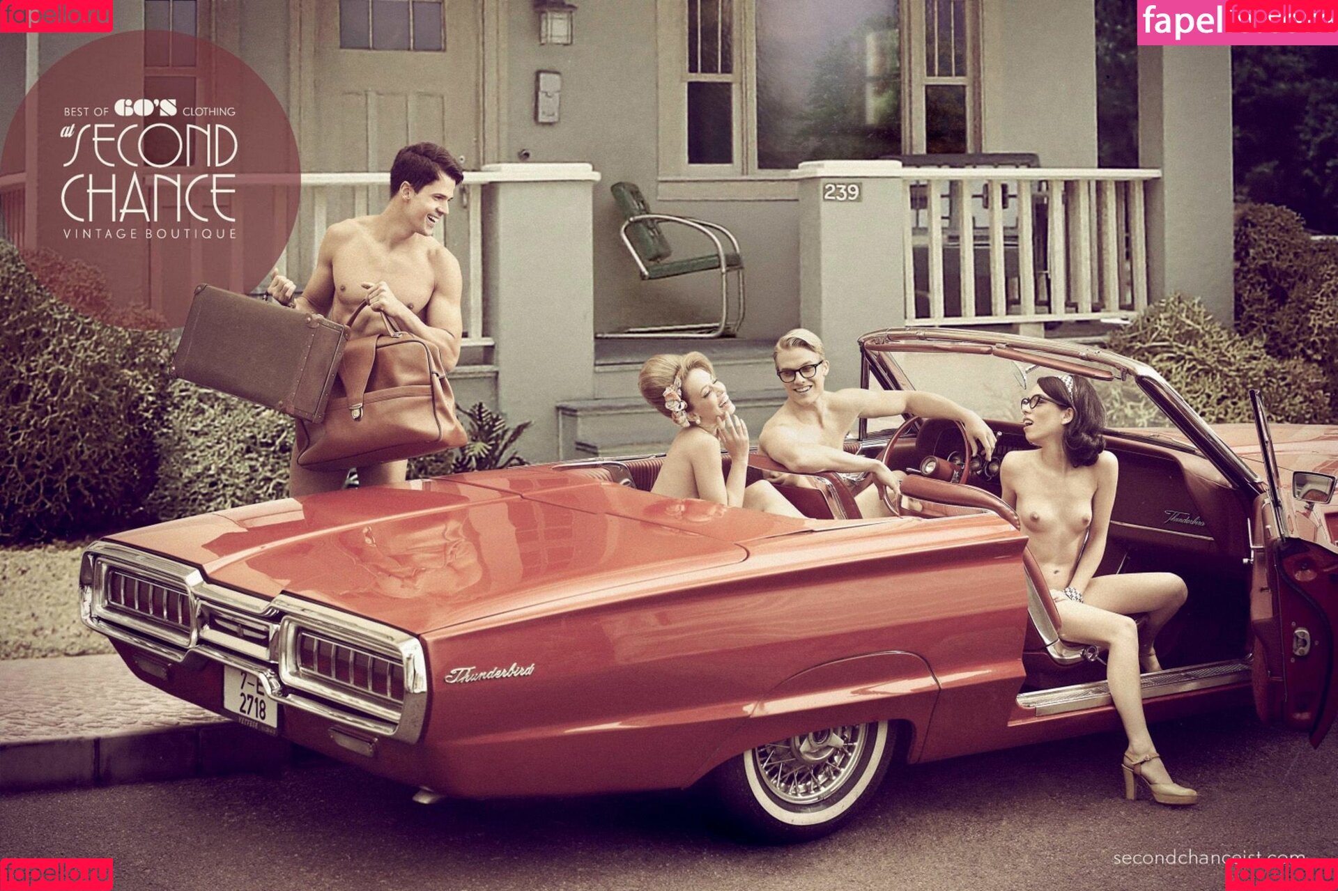 Didem Dinç Onlyfans Photo Gallery 