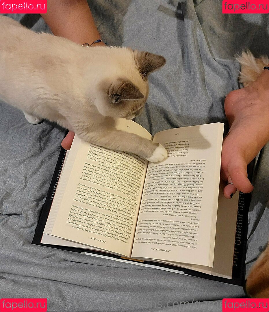 GamertoesKZ Onlyfans Photo Gallery 