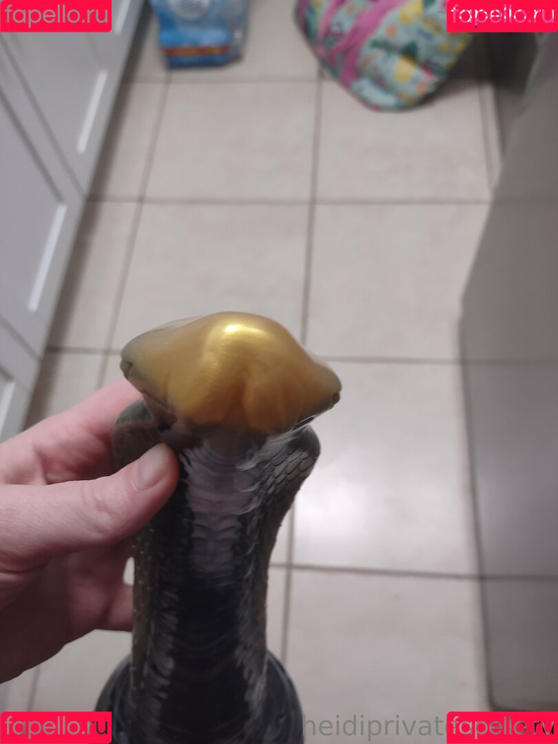 heidiprivatesociety Onlyfans Photo Gallery 