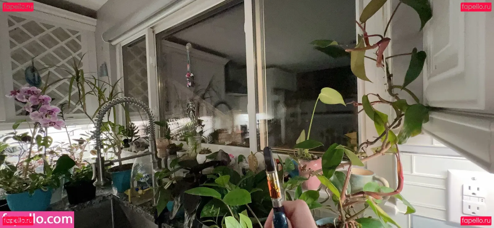 harleyrey Onlyfans Photo Gallery 