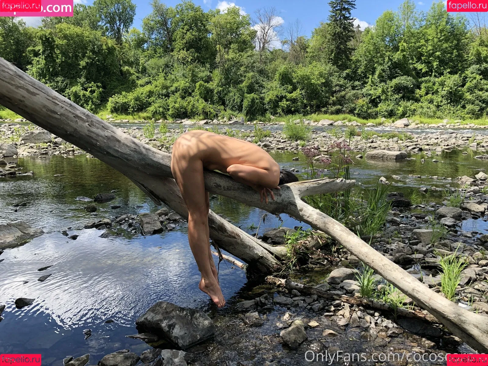 Cocoscorpio Onlyfans Photo Gallery 