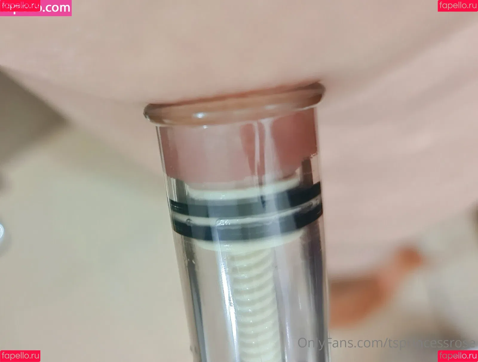 TSprincessRose Onlyfans Photo Gallery 