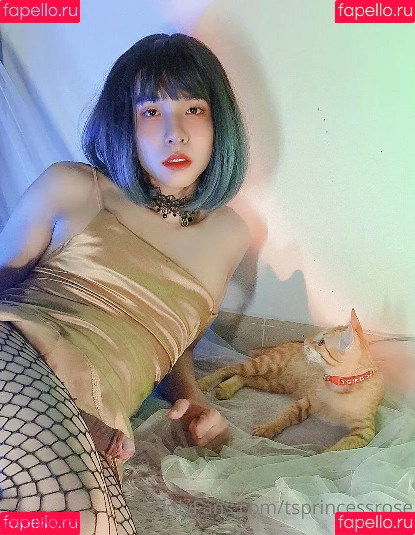 TSprincessRose Onlyfans Photo Gallery 