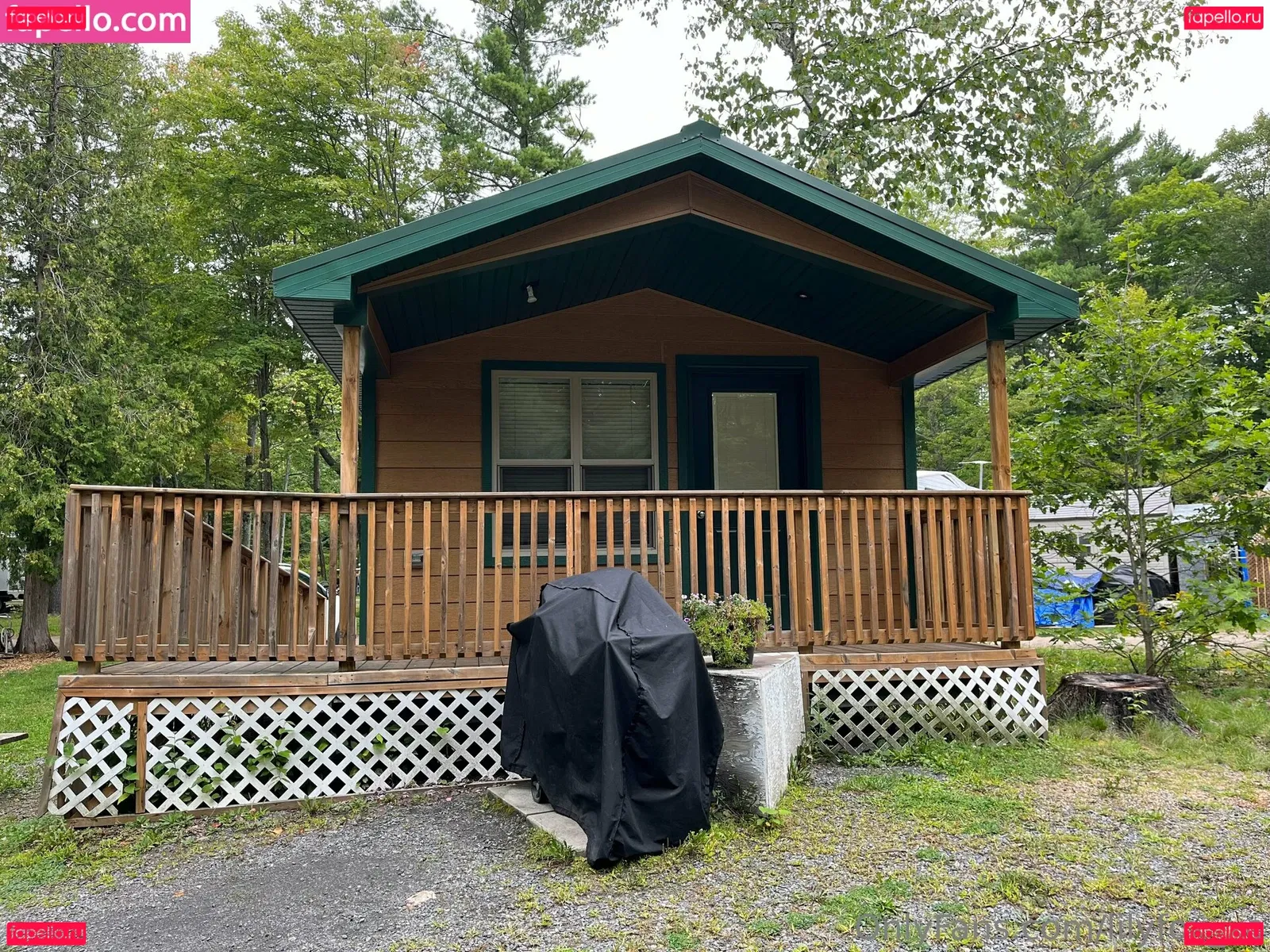 lilyfox_xo Onlyfans Photo Gallery 