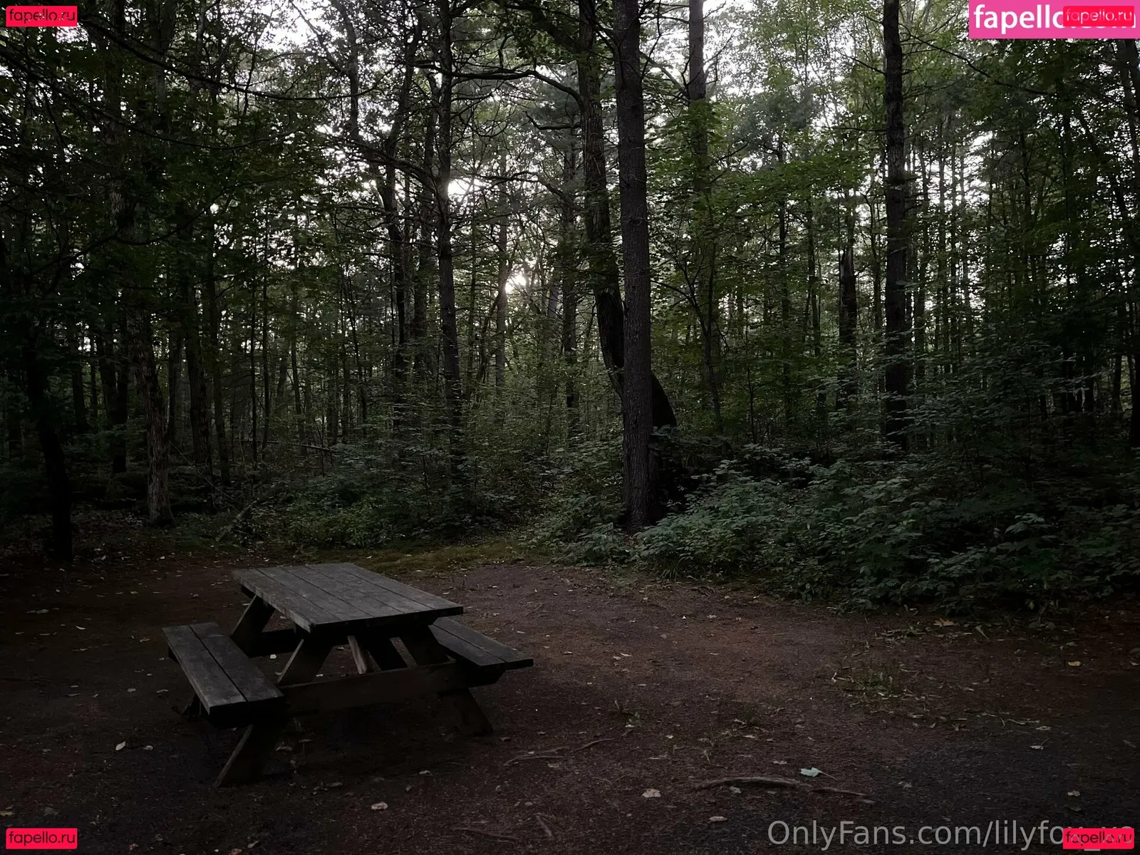 lilyfox_xo Onlyfans Photo Gallery 