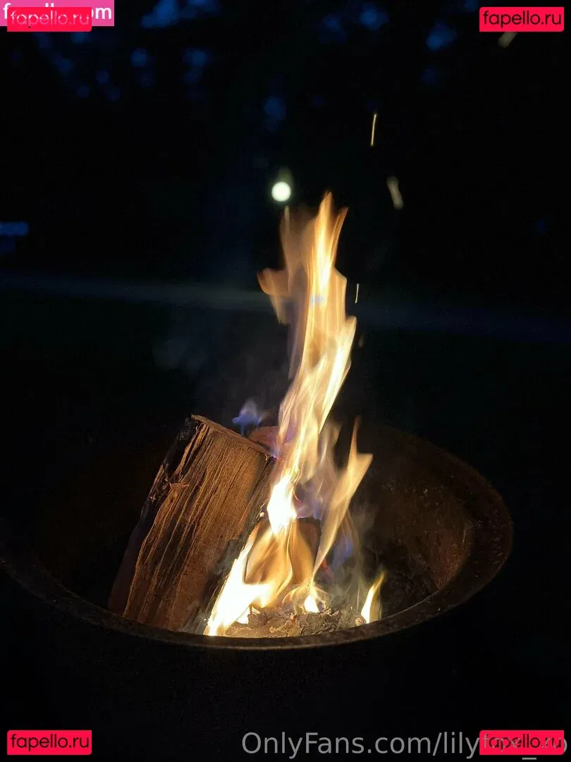 lilyfox_xo Onlyfans Photo Gallery 