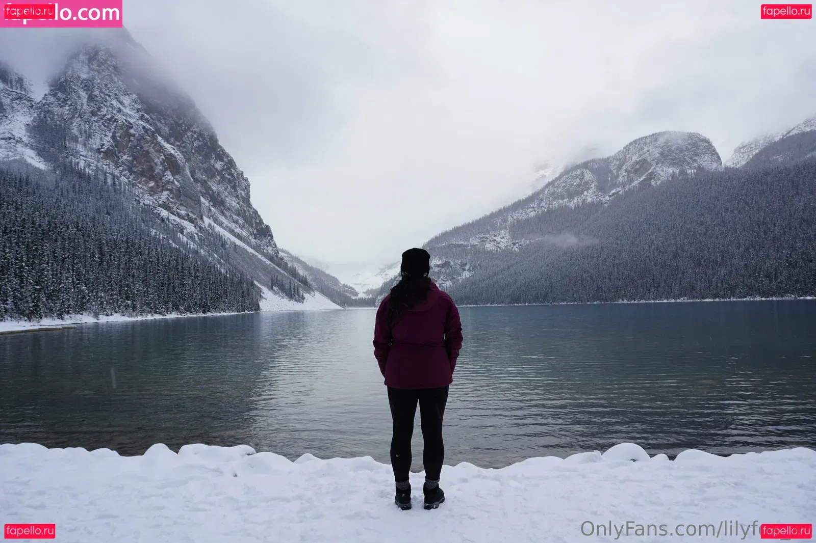 lilyfox_xo Onlyfans Photo Gallery 