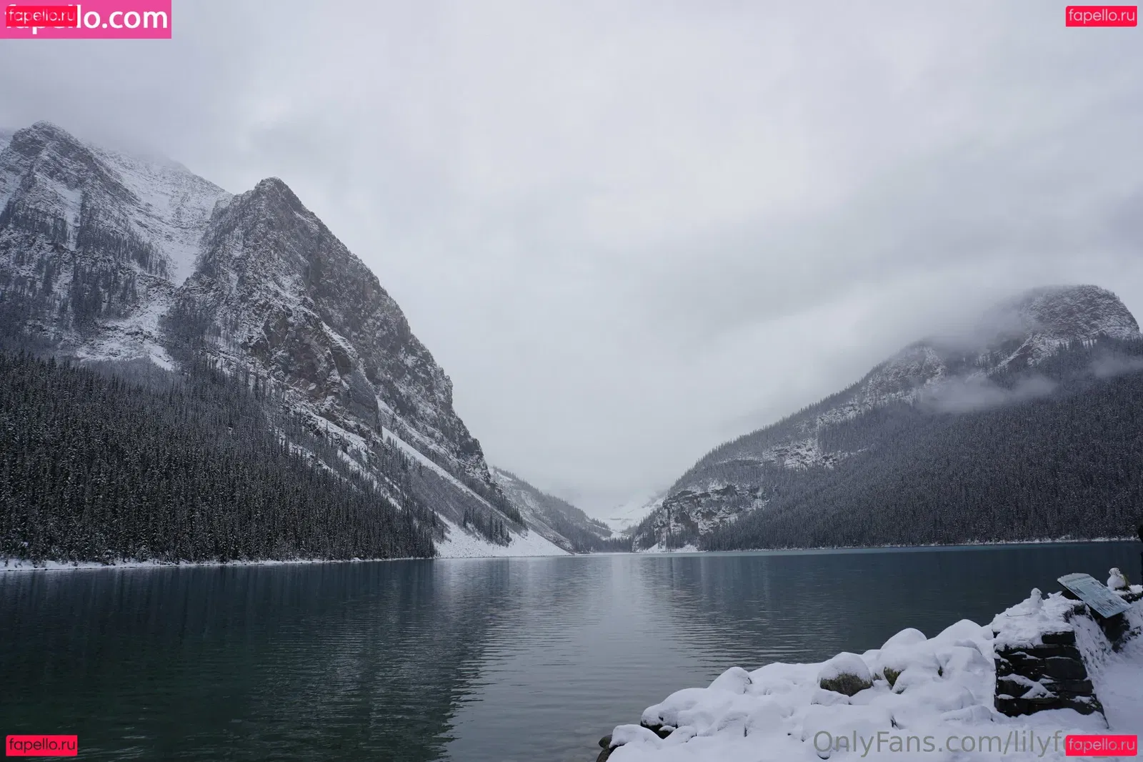 lilyfox_xo Onlyfans Photo Gallery 