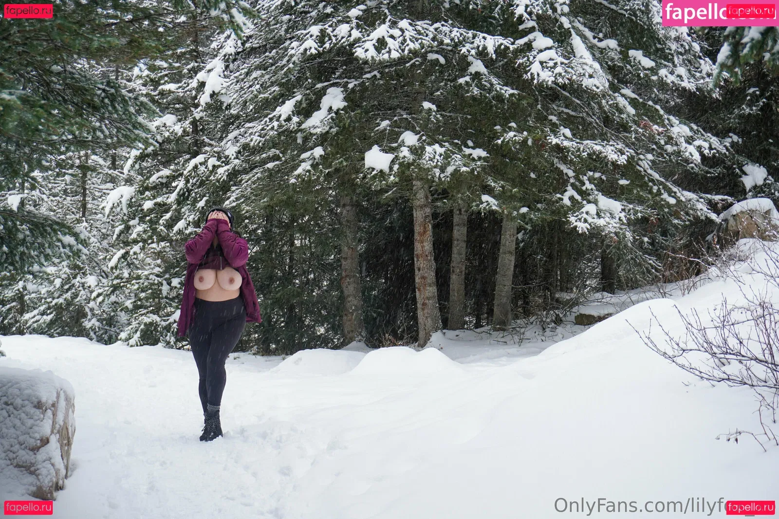 lilyfox_xo Onlyfans Photo Gallery 