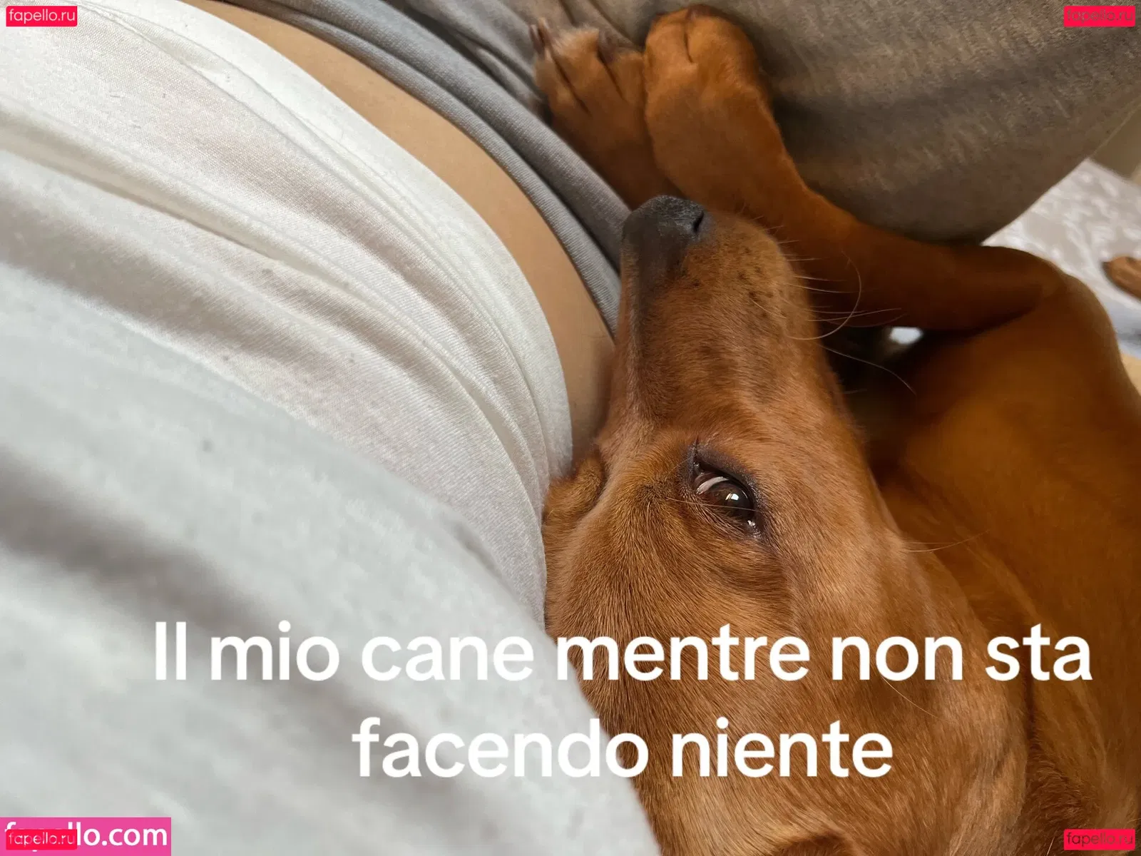 Gianclaudia Di Giacomo Onlyfans Photo Gallery 