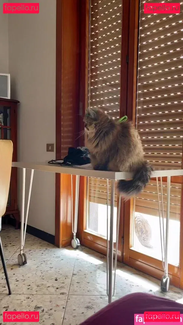 Gianclaudia Di Giacomo Onlyfans Photo Gallery 