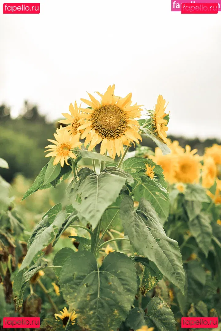 eeelyeee Onlyfans Photo Gallery 