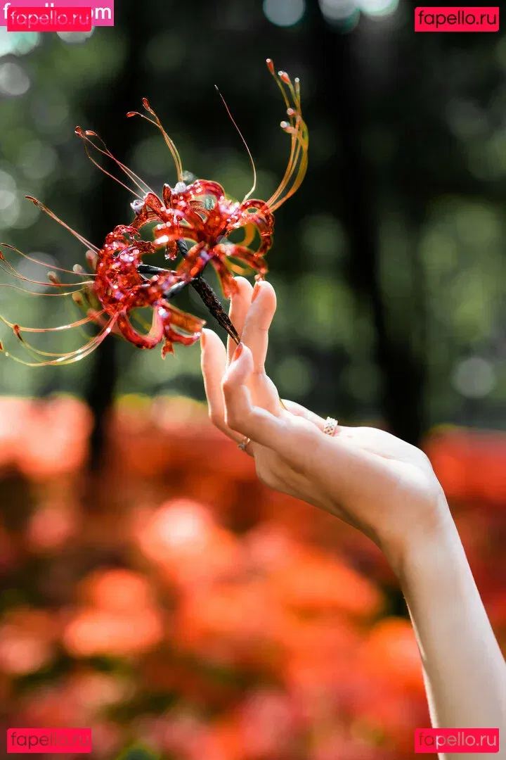 eeelyeee Onlyfans Photo Gallery 