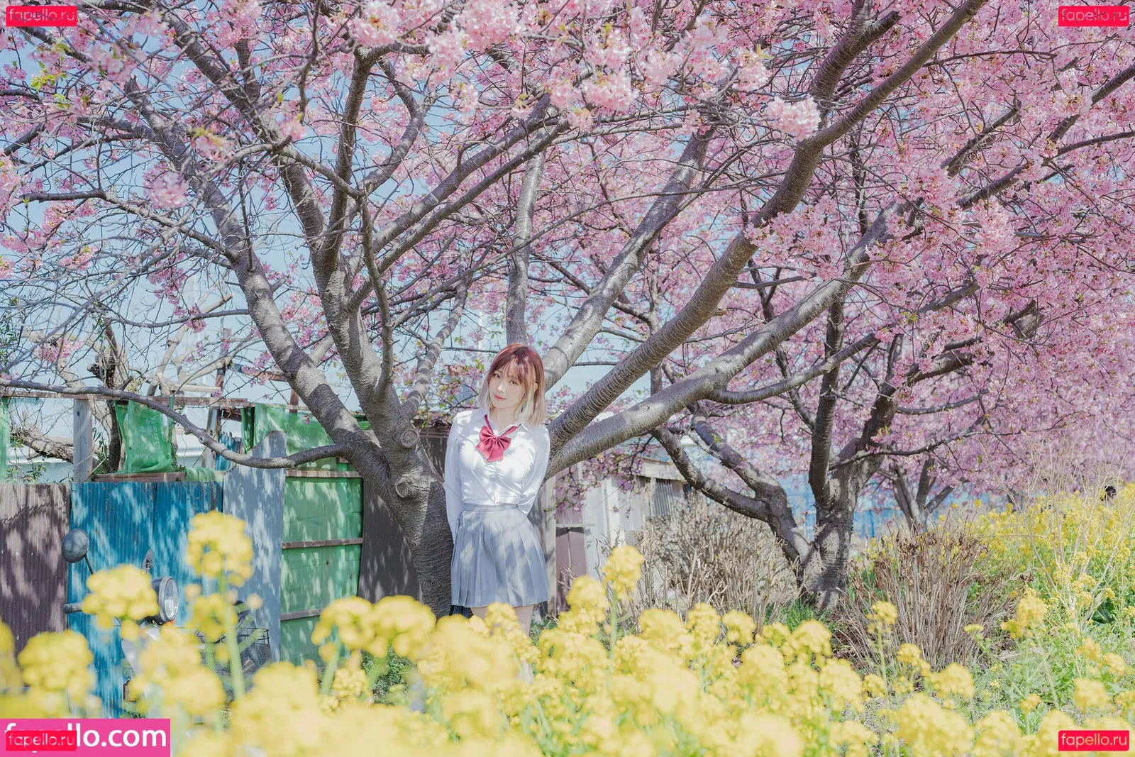 eeelyeee Onlyfans Photo Gallery 