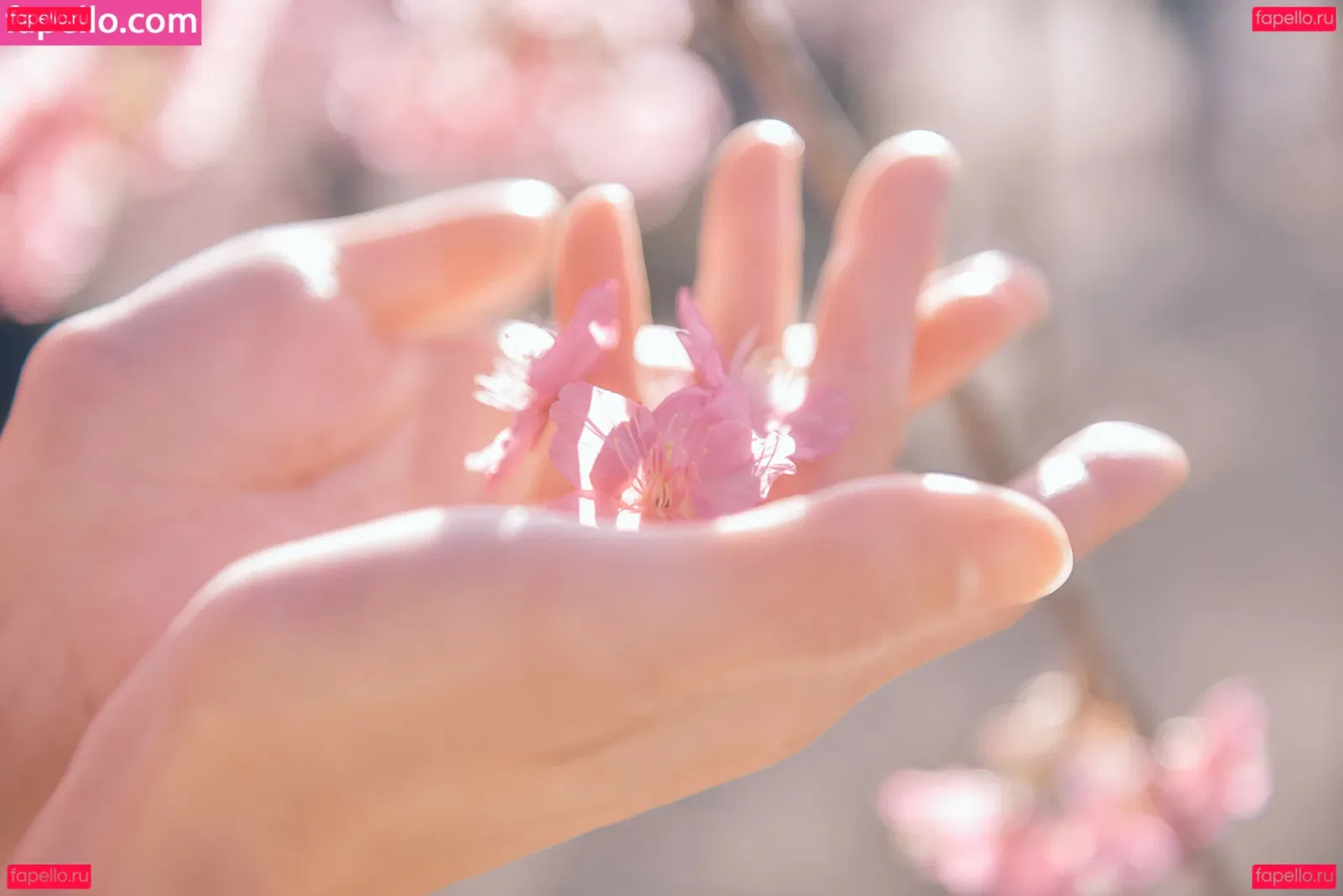 eeelyeee Onlyfans Photo Gallery 