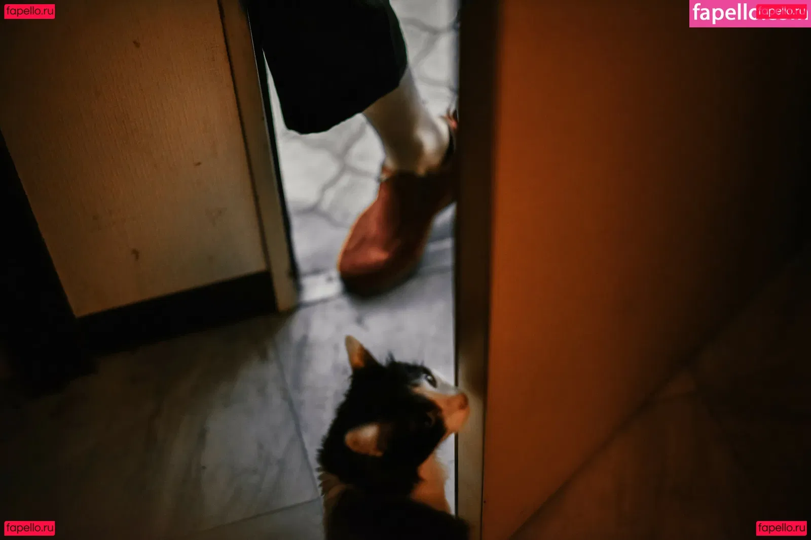 eeelyeee Onlyfans Photo Gallery 