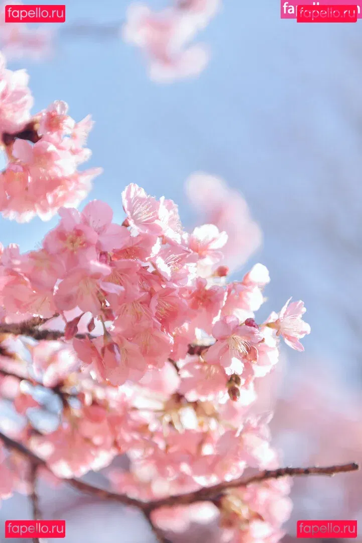 eeelyeee Onlyfans Photo Gallery 