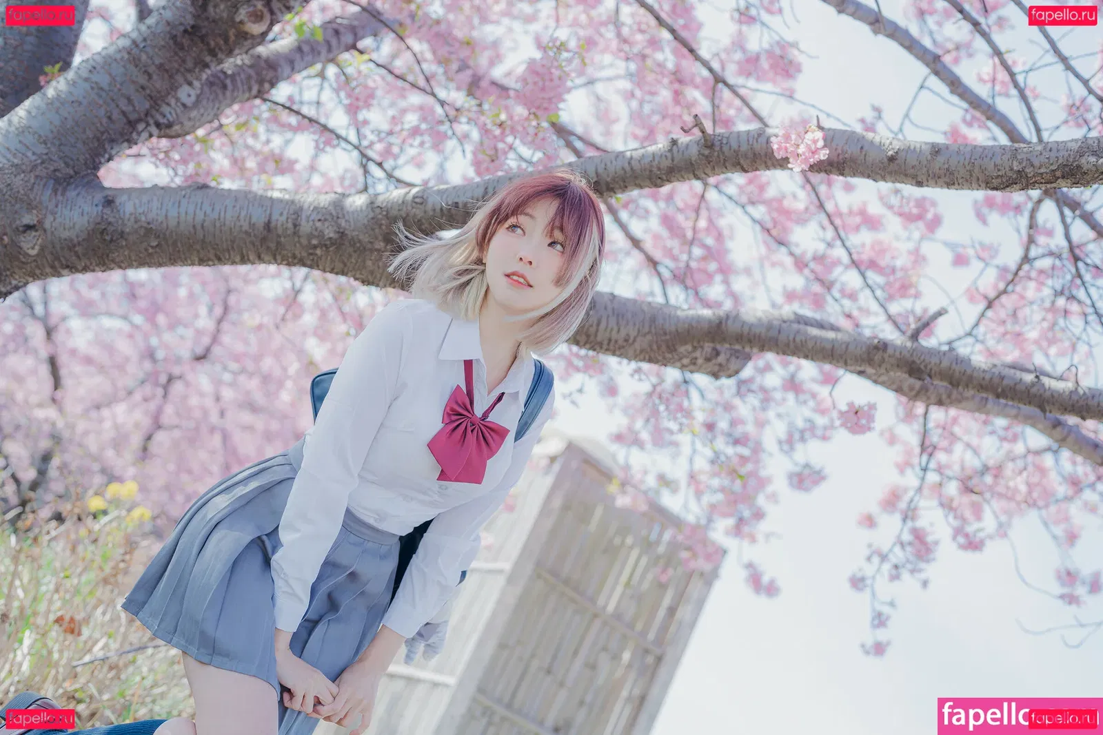 eeelyeee Onlyfans Photo Gallery 