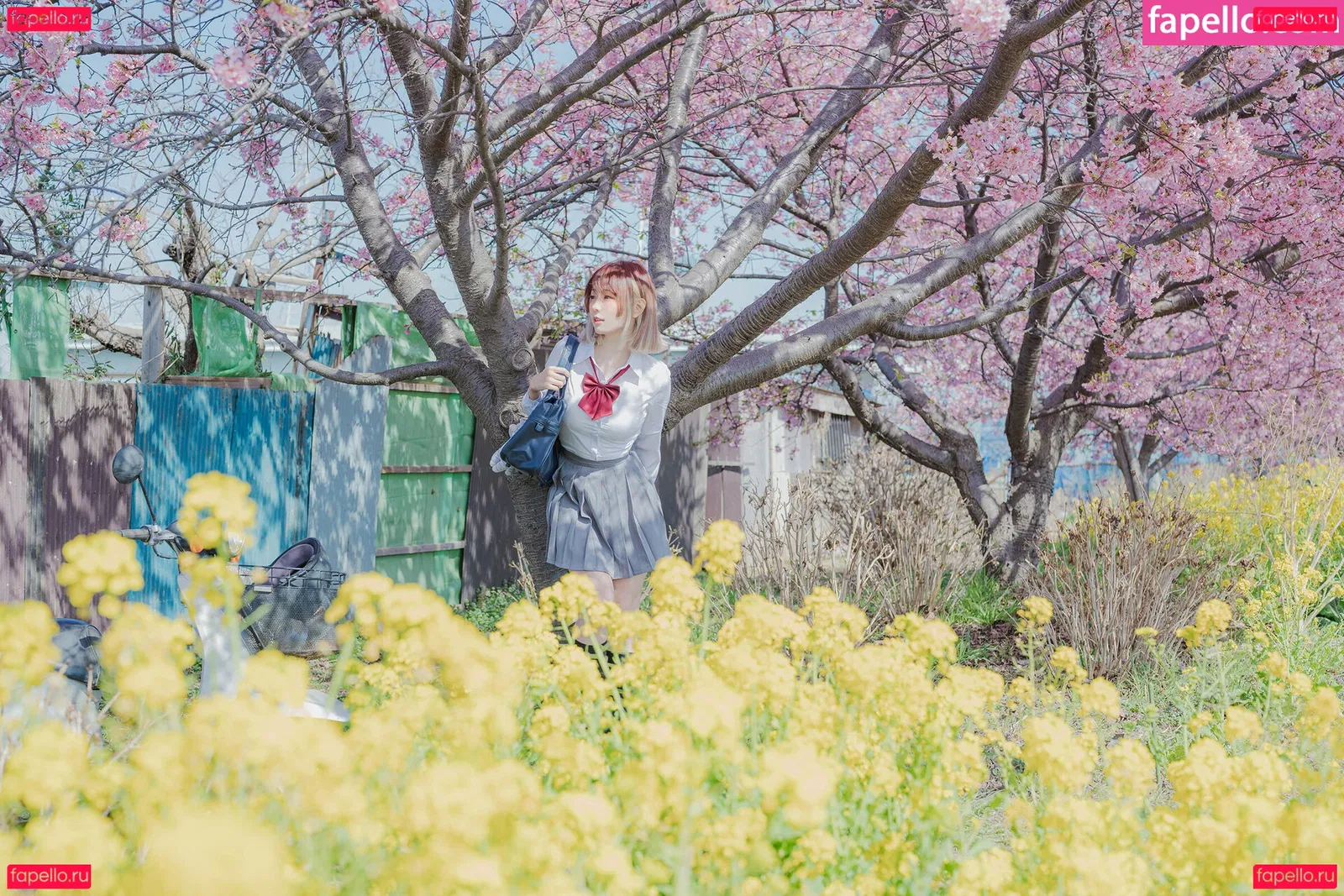 eeelyeee Onlyfans Photo Gallery 