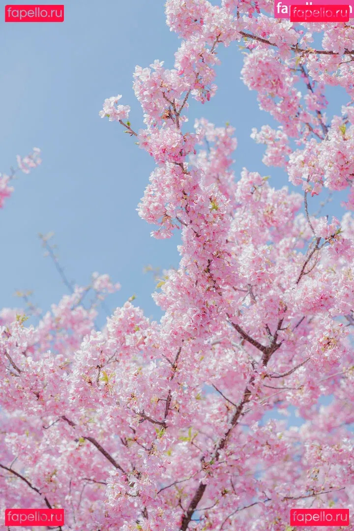 eeelyeee Onlyfans Photo Gallery 