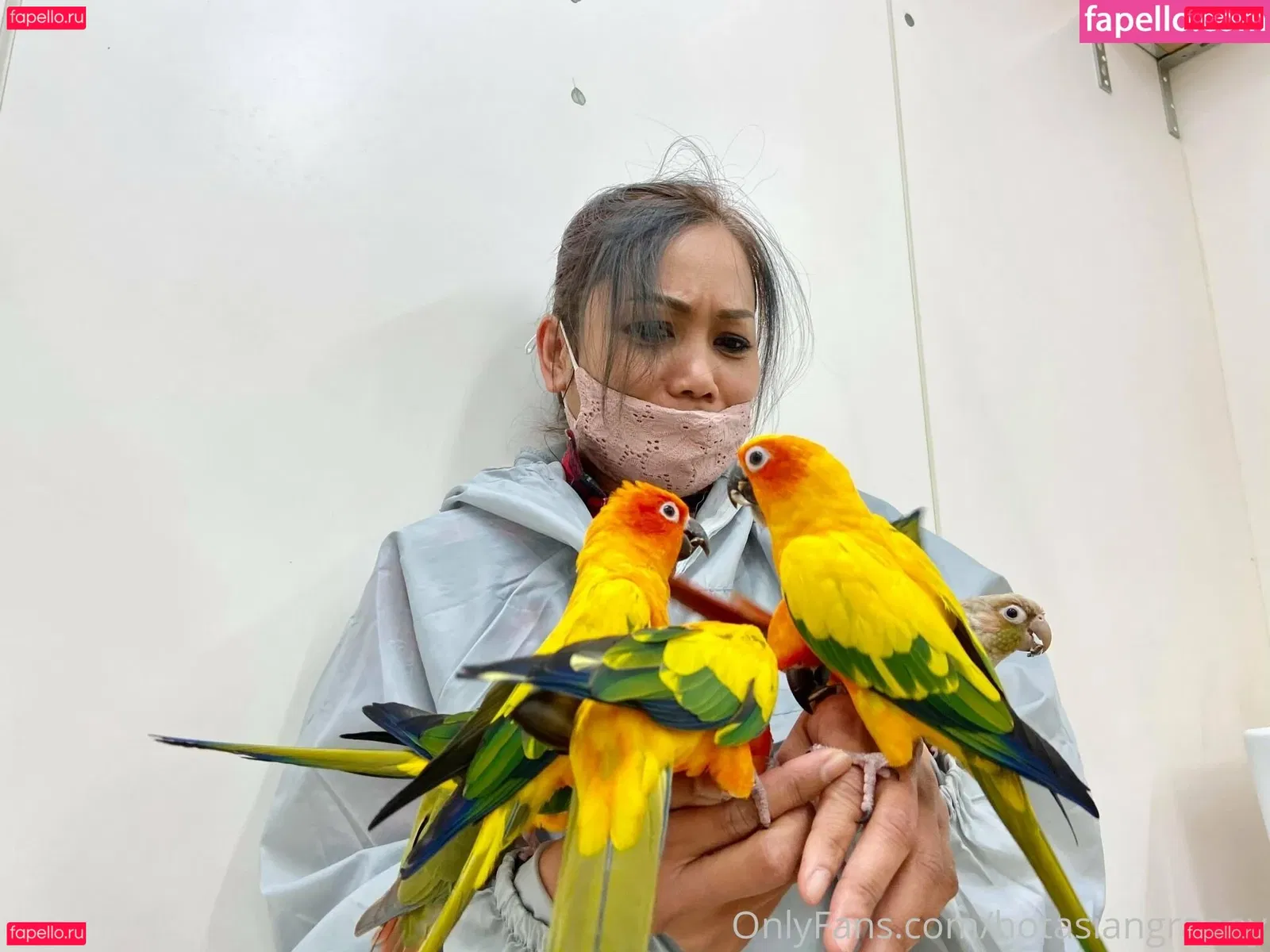 hotasiangranny Onlyfans Photo Gallery 