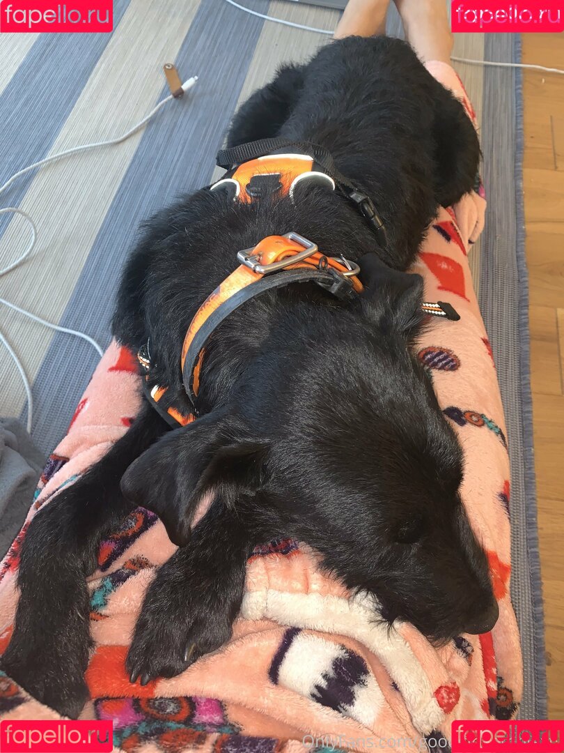 goodgirlcomplextv Onlyfans Photo Gallery 