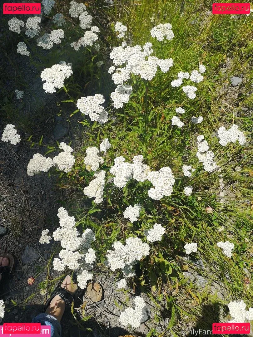 Natie Del Onlyfans Photo Gallery 