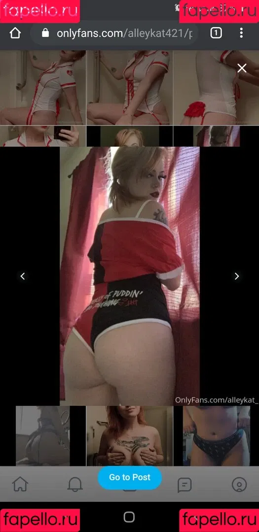 Alleykat421 Onlyfans Photo Gallery 
