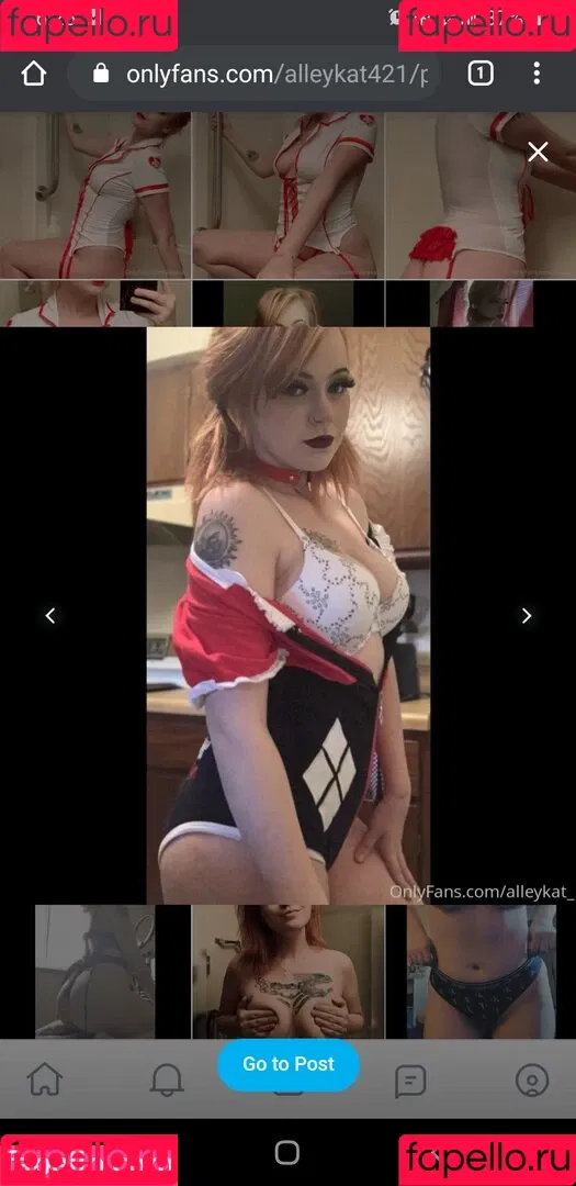 Alleykat421 Onlyfans Photo Gallery 