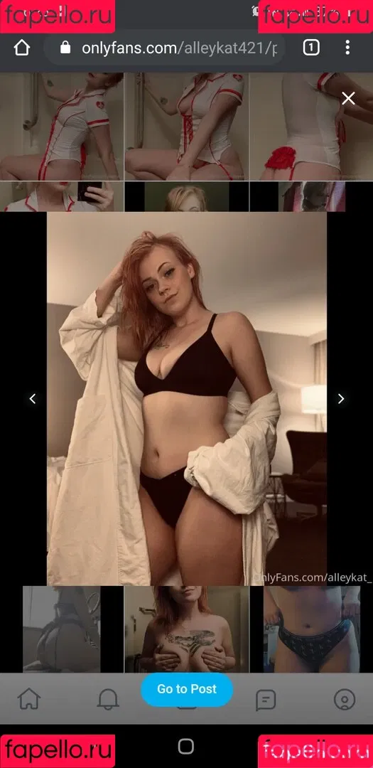 Alleykat421 Onlyfans Photo Gallery 