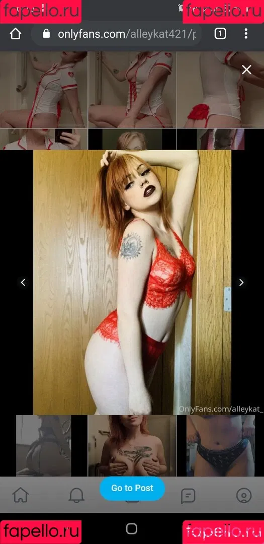 Alleykat421 Onlyfans Photo Gallery 