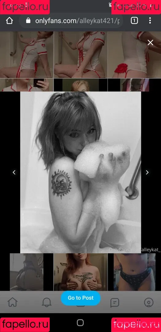Alleykat421 Onlyfans Photo Gallery 