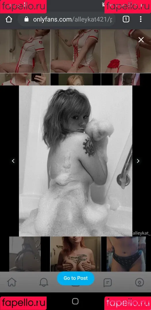 Alleykat421 Onlyfans Photo Gallery 