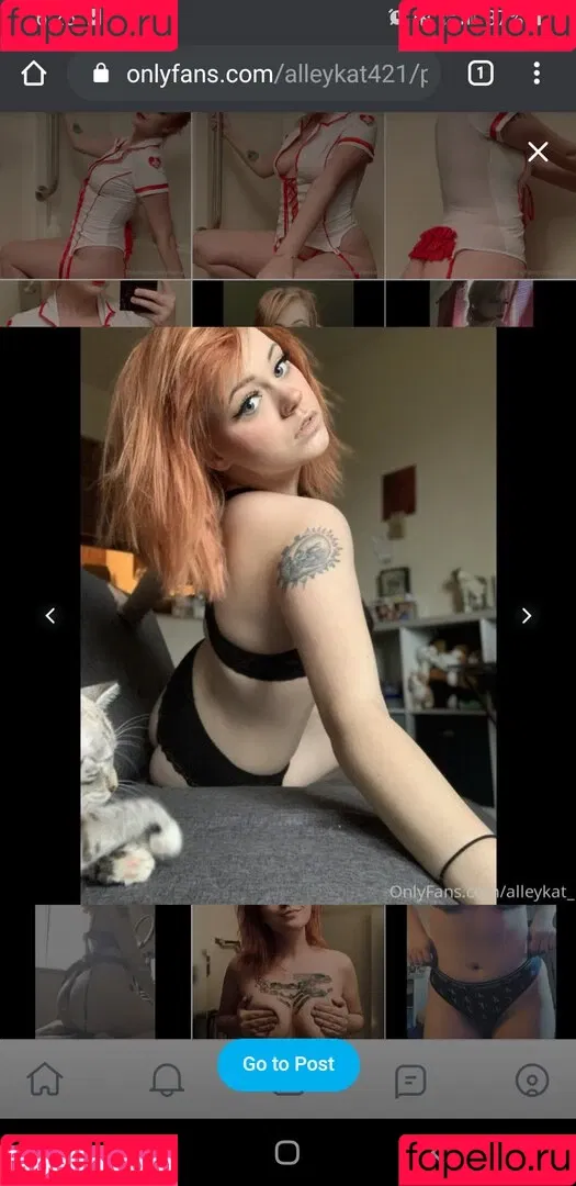Alleykat421 Onlyfans Photo Gallery 
