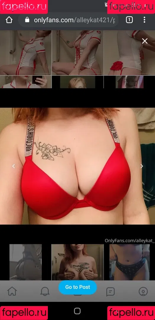 Alleykat421 Onlyfans Photo Gallery 