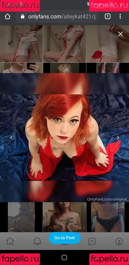 Alleykat421 Onlyfans Photo Gallery 