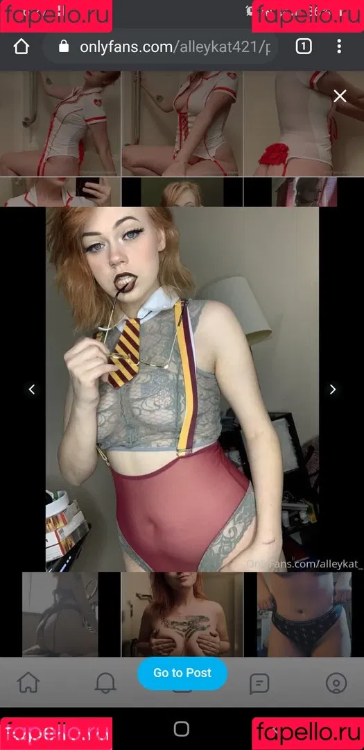 Alleykat421 Onlyfans Photo Gallery 