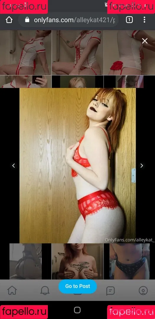Alleykat421 Onlyfans Photo Gallery 