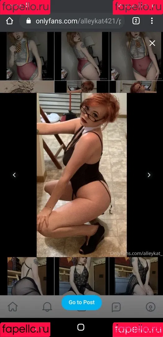 Alleykat421 Onlyfans Photo Gallery 