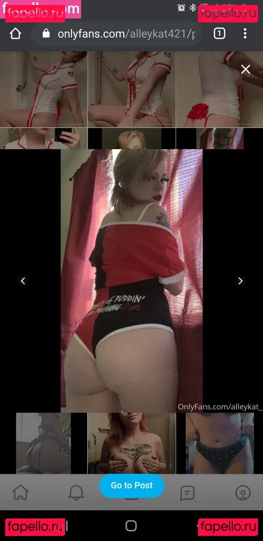 Alleykat421 Onlyfans Photo Gallery 