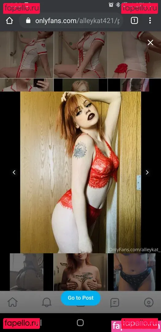 Alleykat421 Onlyfans Photo Gallery 